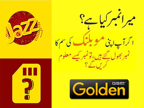 Jazz Number Check Code Find Jazz Number Goldengsm