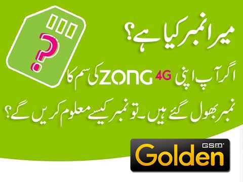 how to find my zong number code