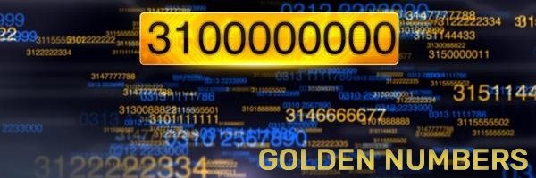 Zong Golden Numbers